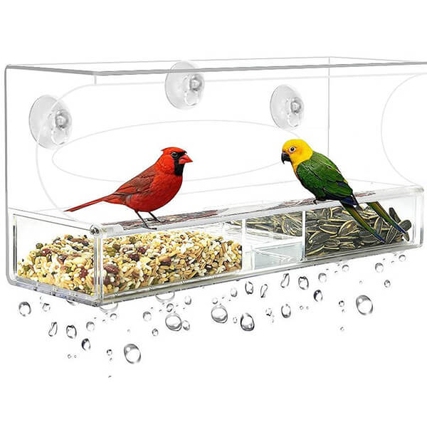 Најдобар хранител за птици за прозорци, дајте му нов закуп на вашиот двор