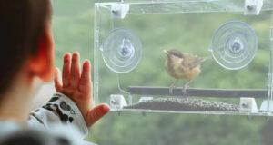 Најдобар хранител за птици за прозорци