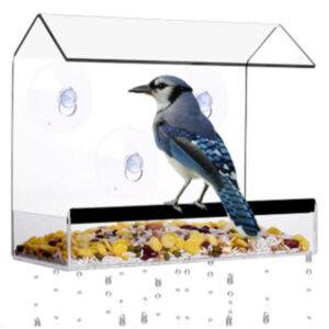 Mangeoires à oiseaux pour petits oiseaux, matériau acrylique transparent
