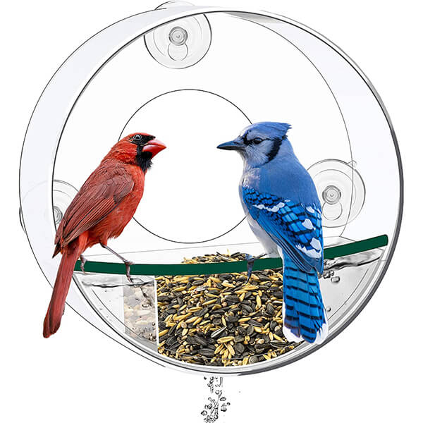 Brugerdefineret RSPB-vinduesføder til fugle, der opfylder alle dine fuglebehov.