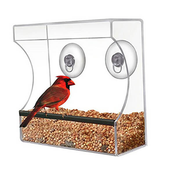 Alimentador de pássaros de janela pequena por atacado, uma variedade de estilos e tamanhos