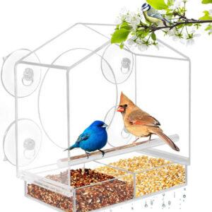 Wholesale Suction Cup Bird Feeder With Affordable Price
