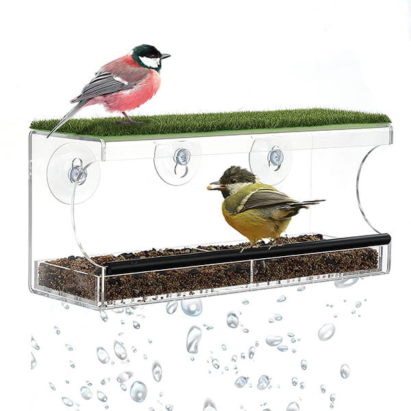 Window Bird Feeder, With Strong Suction Cups